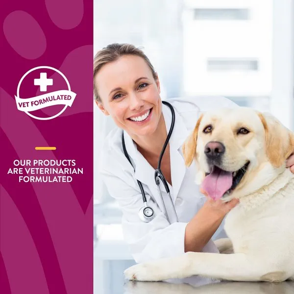NaturVet Glucosamine DS Plus MSM Level 2 Moderate Care Time Release Chewable Tablets for Dogs