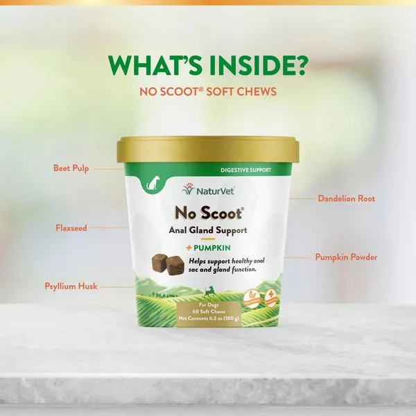 NaturVet No Scoot Plus Pumpkin Soft Chew for Dogs