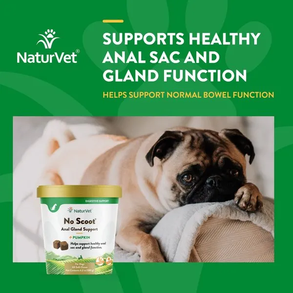 NaturVet No Scoot Plus Pumpkin Soft Chew for Dogs