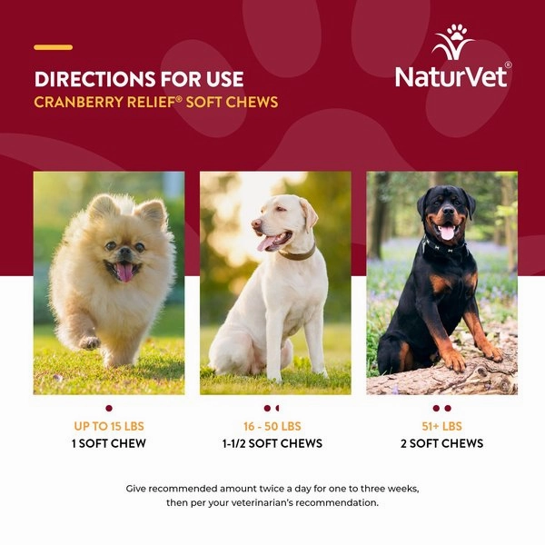 NaturVet Cranberry Relief Plus Echinacea Soft Chew for Dogs