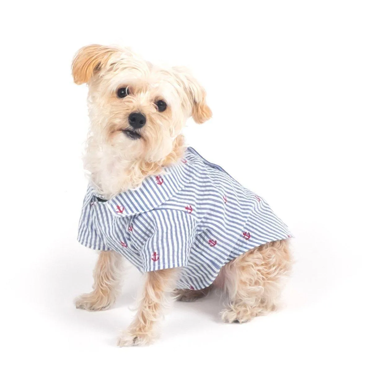 Navy Stripe Anchor Woven Dog Shirt 2XL