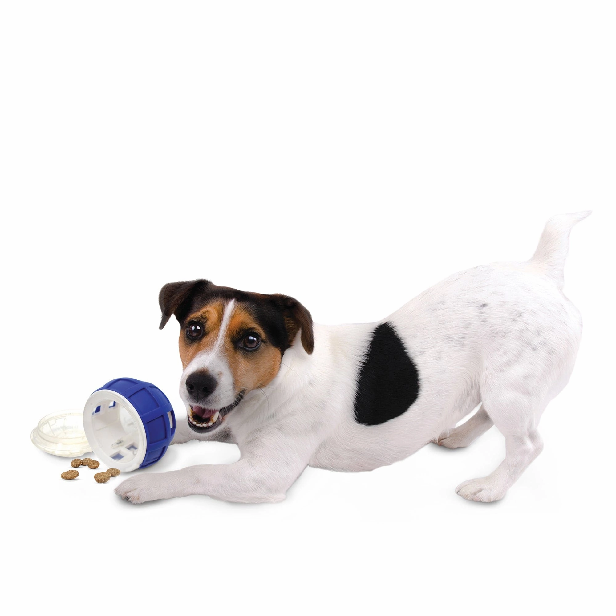 Nerf Dog Puzzle Feeder Dog Toy