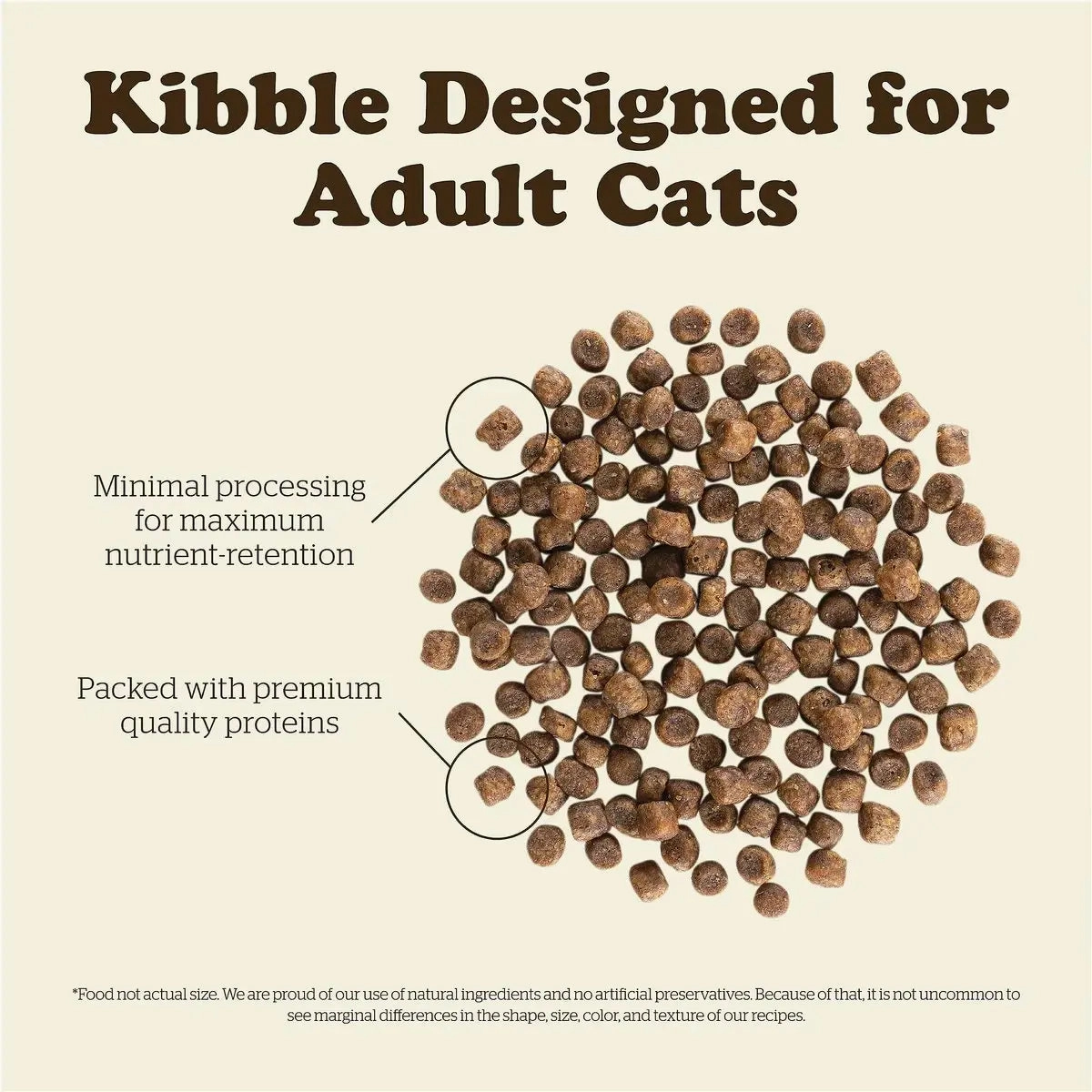 Now Fresh - Grain Free Adult Cat Food - Turkey, Salmon & Duck