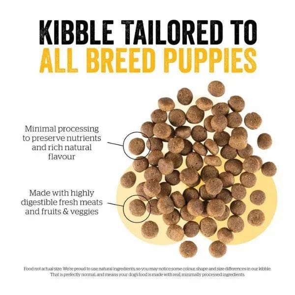 Now Fresh Turkey, Salmon & Duck Recipe Dry Puppy Food, 22lb