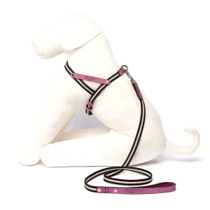 Nubuck Fuchsia Dog Harness