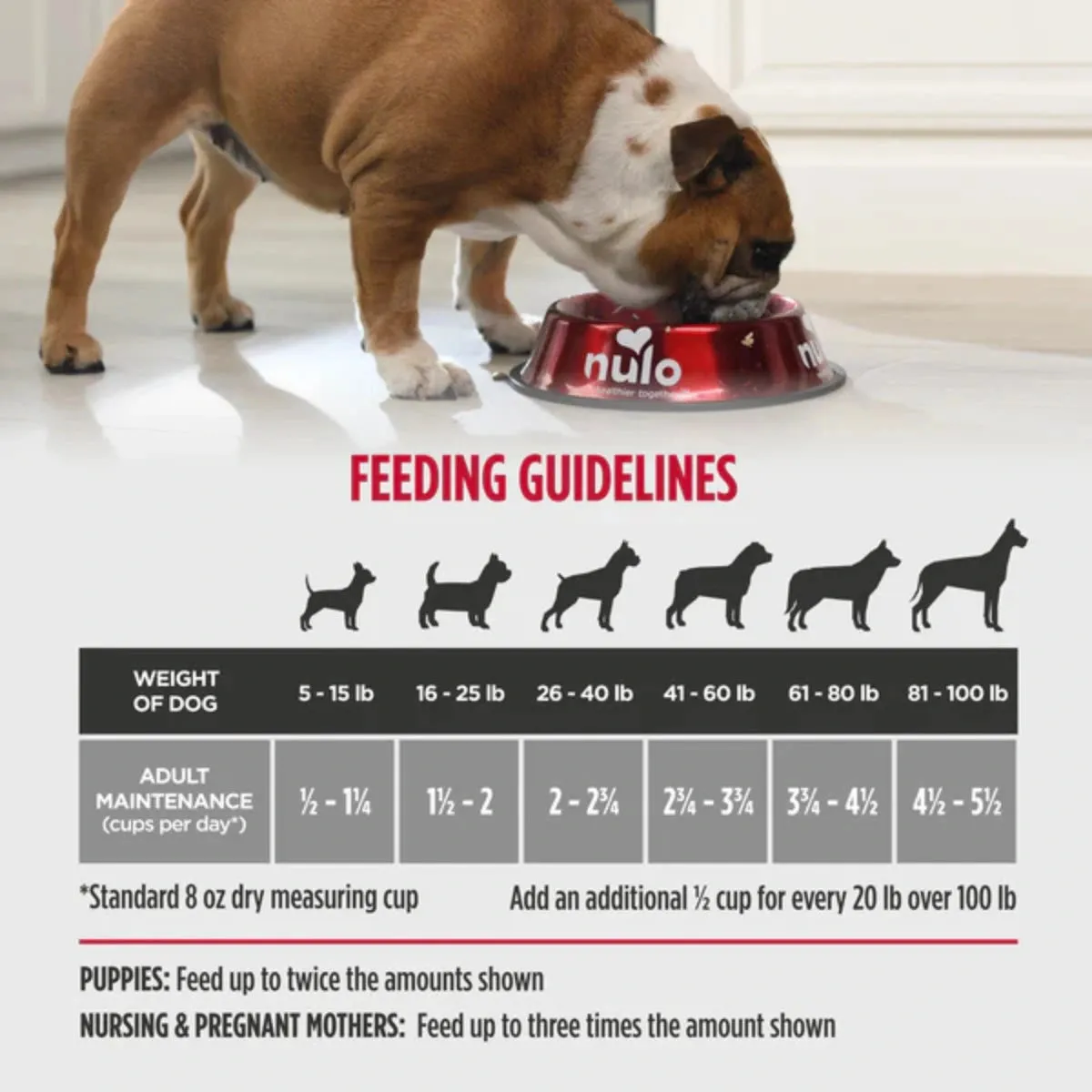 Nulo Cold Pressed Dog Food For Puppies & Adults - Salmon, Chicken & Whitefish Recipe
