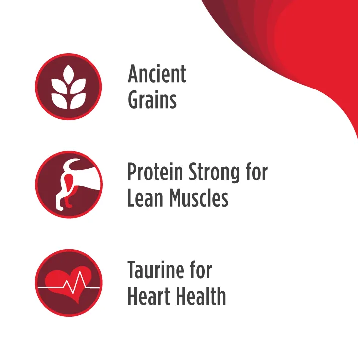 Nulo Frontrunner High-Meat Kibble for Adult Dogs - beef, barley & lamb recipe