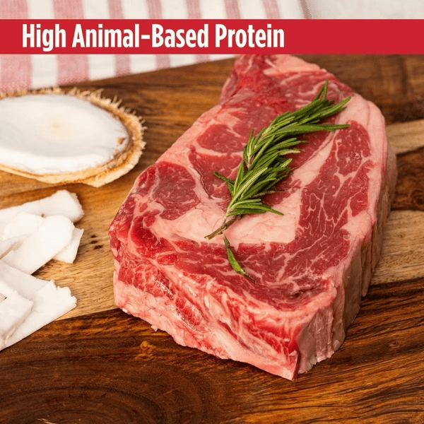 Nulo Freestyle Beef Recipe with Coconut Jerky Strips Dog Treats