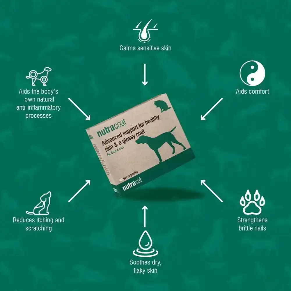 Nutracoat - Healthy Skin & Coat for Dogs & Cats 45 caps