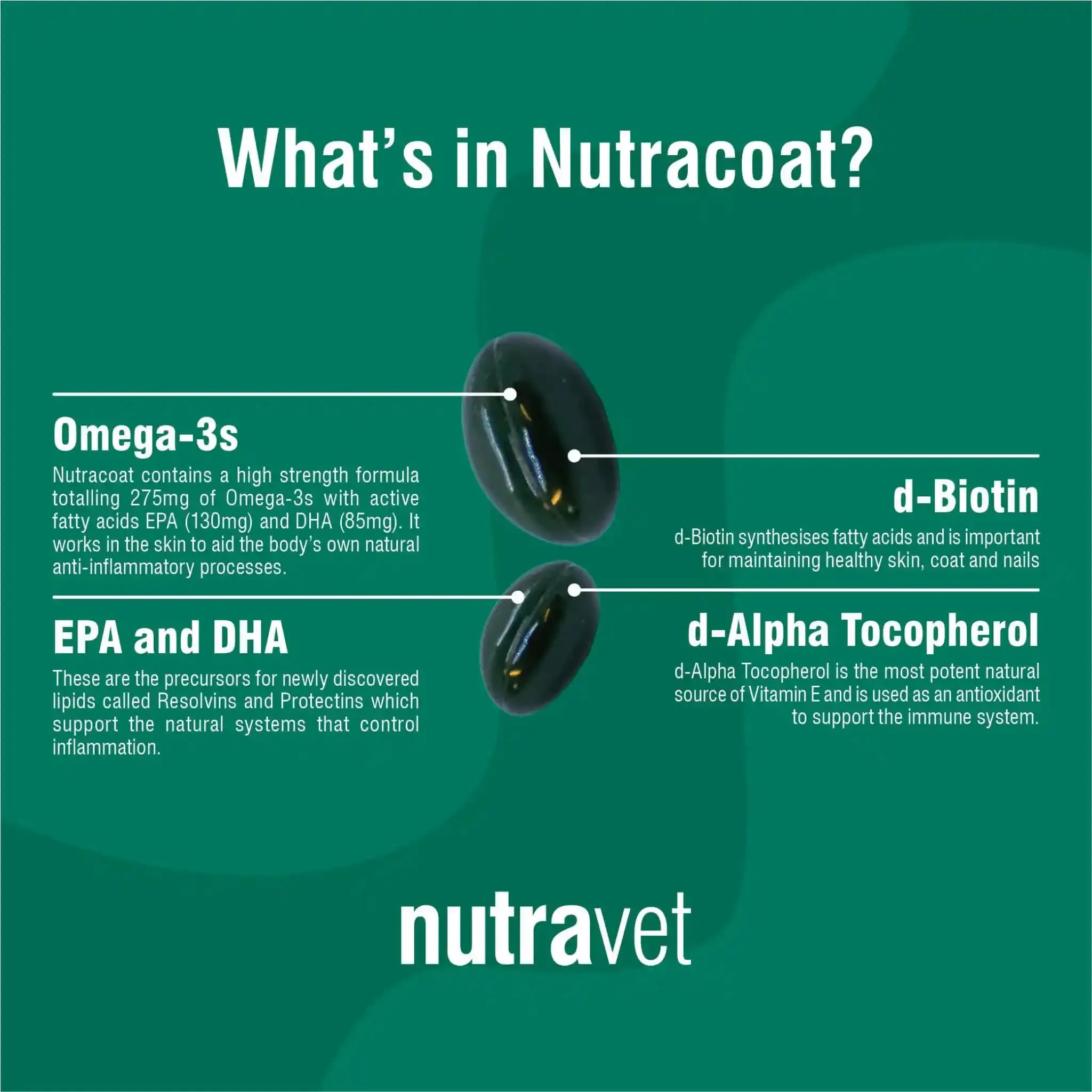 Nutracoat - Healthy Skin & Coat for Dogs & Cats 45 caps