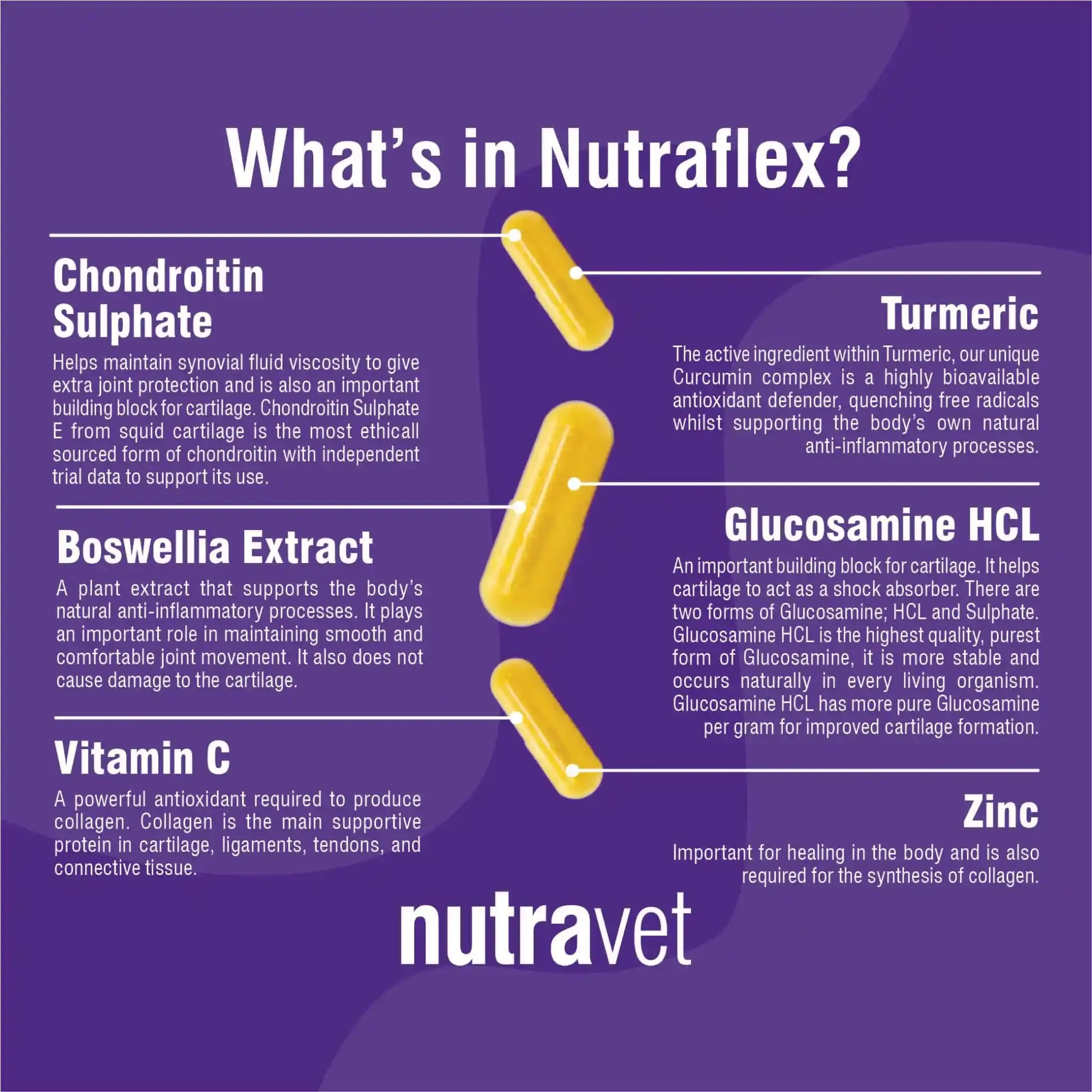 Nutraflex - Joint Supplement for Pets 60 caps