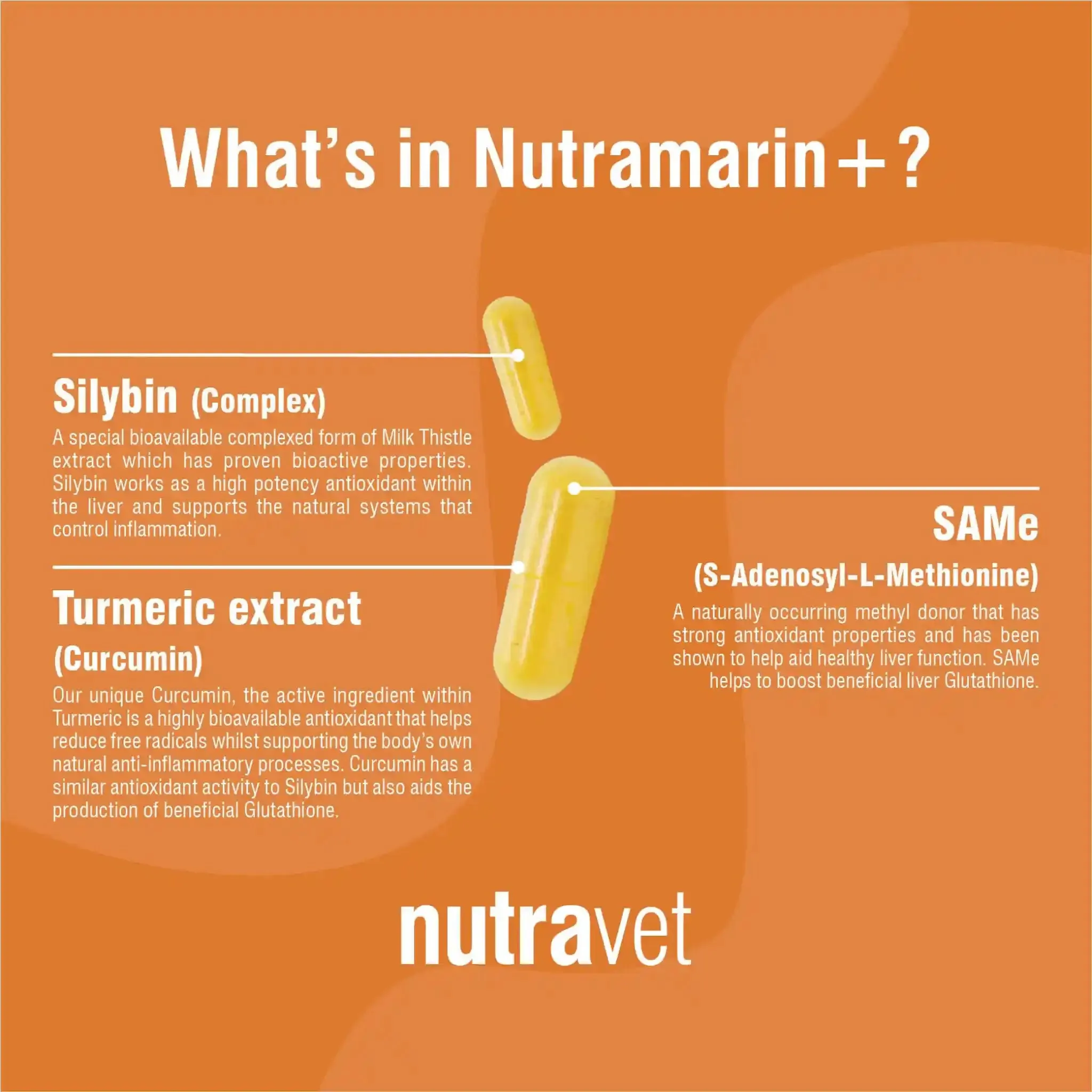 Nutramarin  (SAMe 100mg Liver Supplement for Dogs & Cats) 60 caps