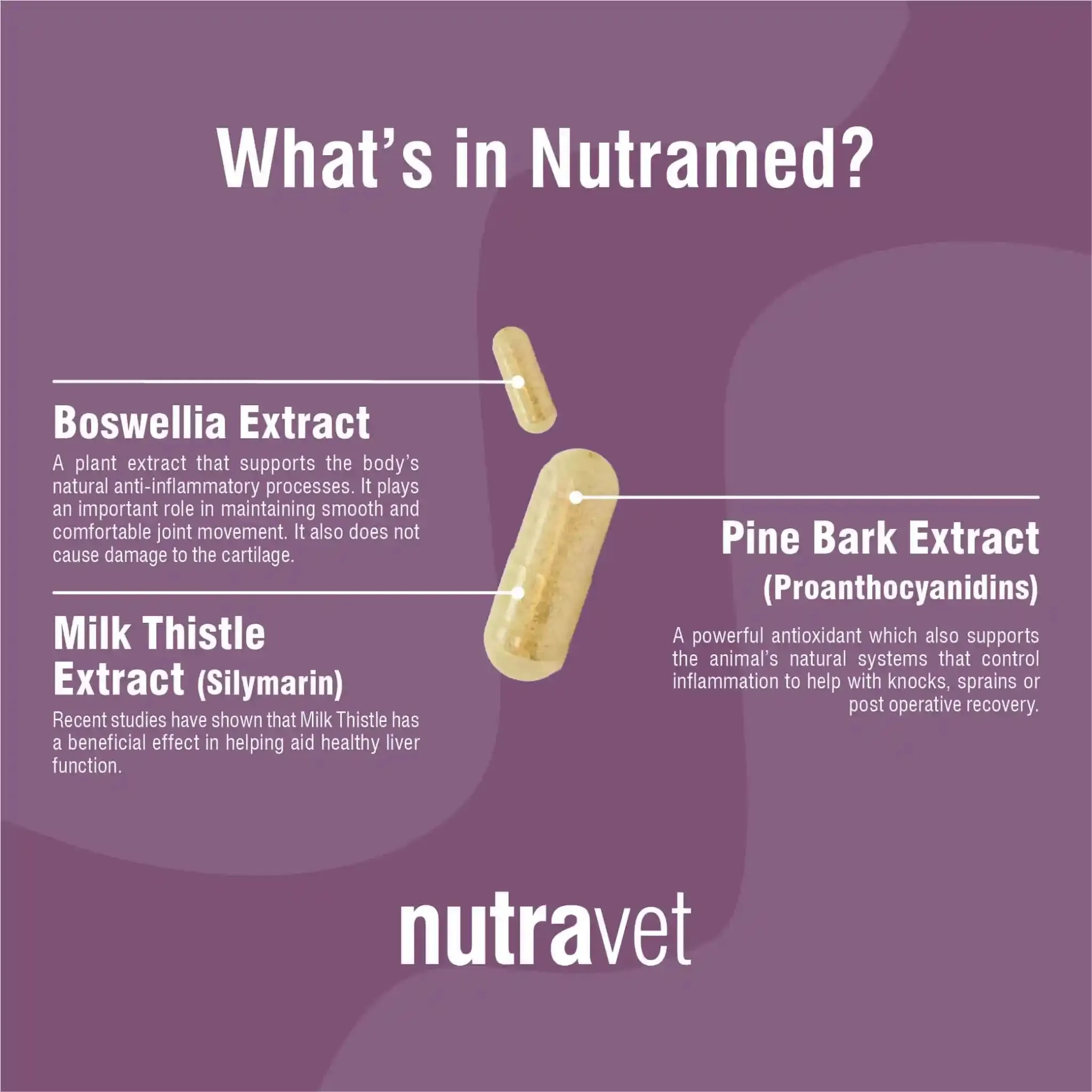 Nutramed Inflammation Control For Pets 60 caps
