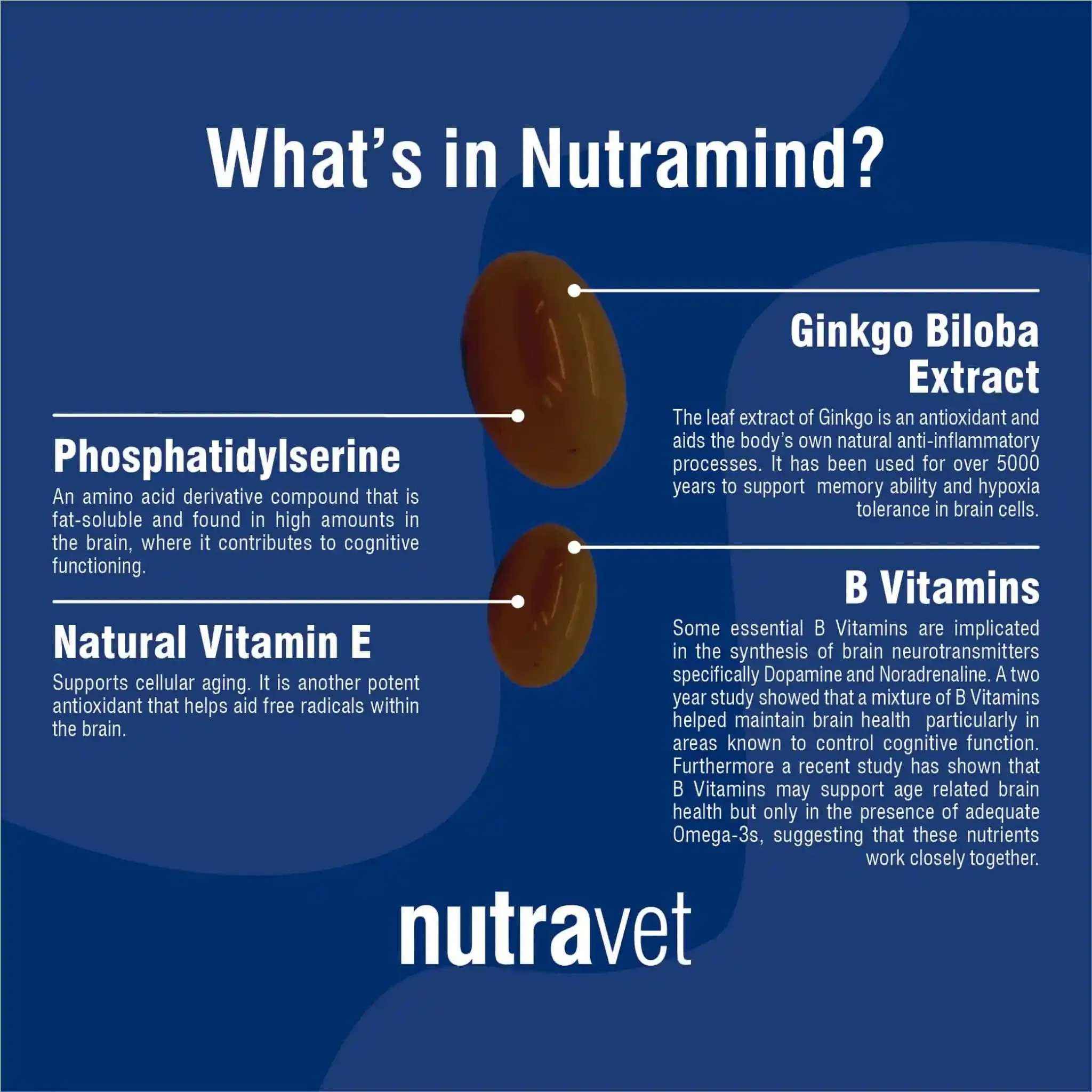 Nutramind (Brain Health Supplement for Dogs & Cats) 45 caps