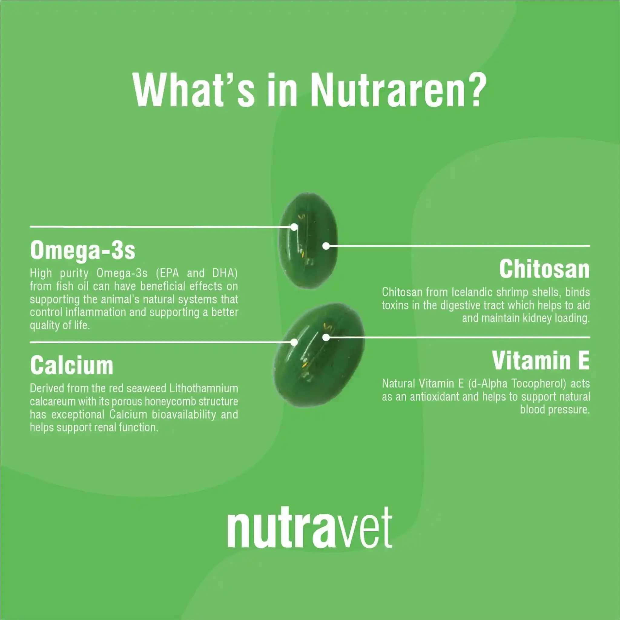 Nutraren (Kidney Supplement for Dogs & Cats) 45 caps