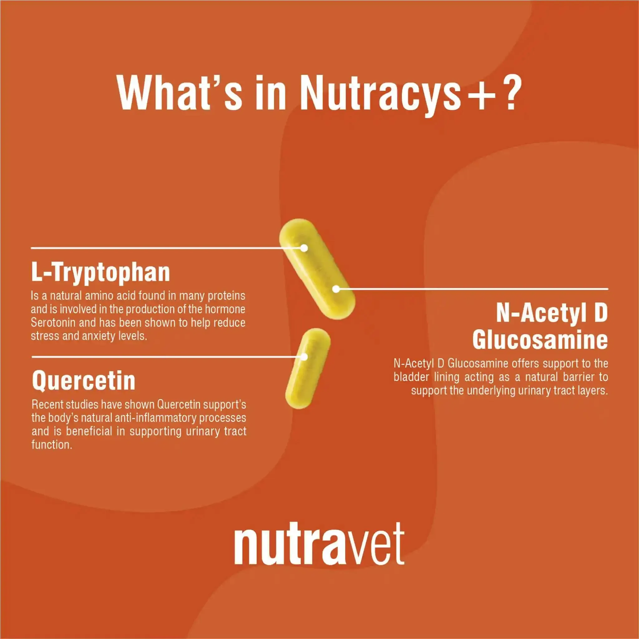 Nutravet - Nutracys  (Urinary Supplement for Dogs & Cats) 220 caps