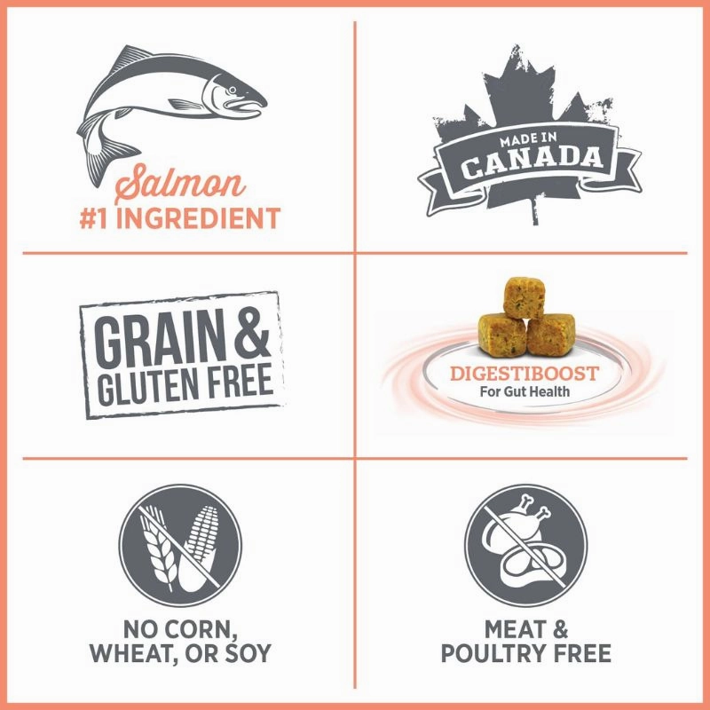 Nutrience Care - Sensitive Skin and Stomach Dry food For Cat