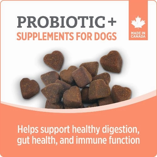 Nutrience Care  Probiotic  Dog Supplement