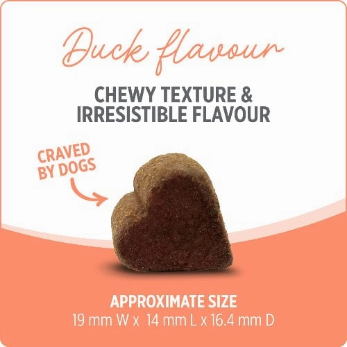 Nutrience Care  Probiotic  Dog Supplement