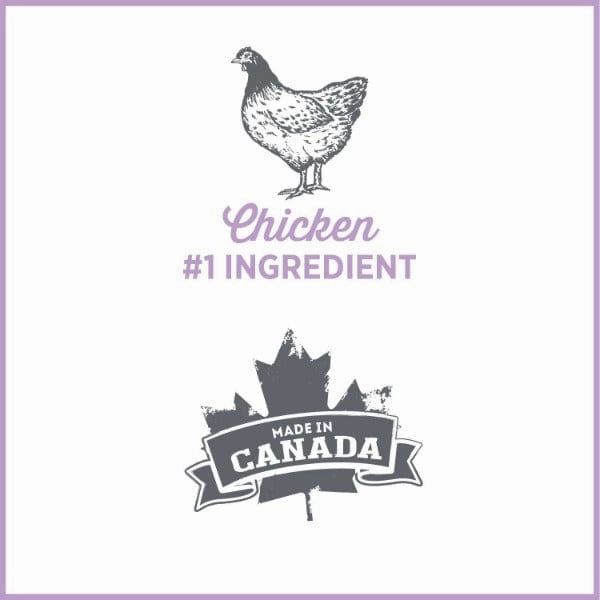 Nutrience Care  Weight Management Canned Dog Food