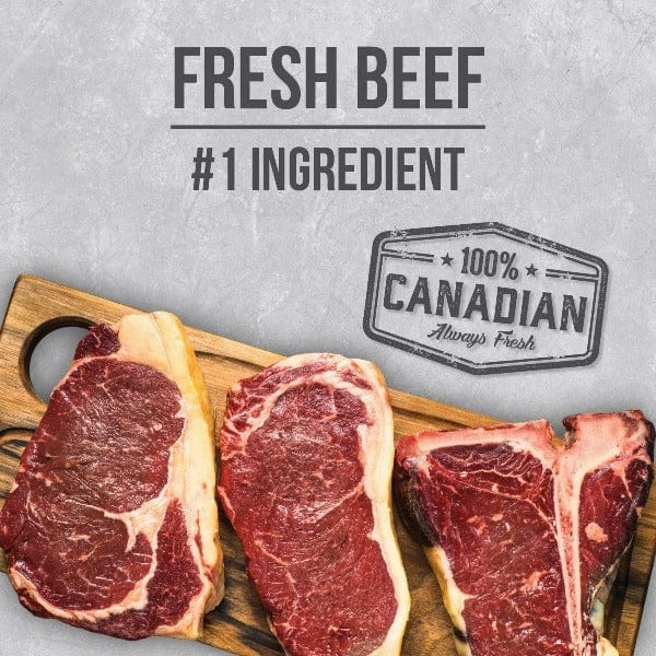 Nutrience Infusion Healthy Adult Beef Recipe Dry Dog Food