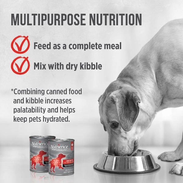 Nutrience Infusion Pate with Canadian Angus Beef Canned Dog Food