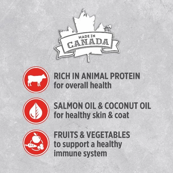 Nutrience Infusion Pate with Canadian Angus Beef Canned Dog Food