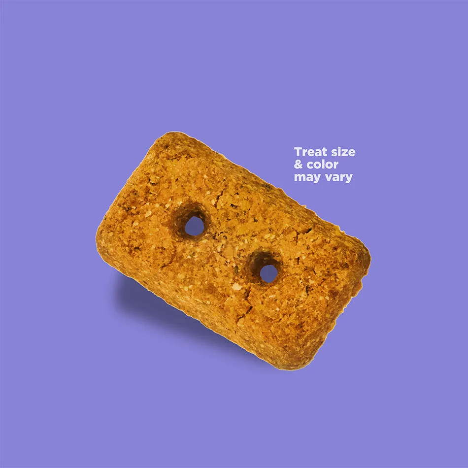 NutriSource Crunchy Crunchers Grain Free Liver Dog Treats