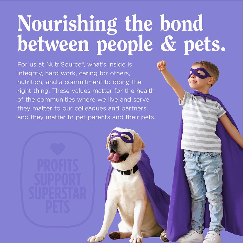 NutriSource Crunchy Crunchers Grain Free Chicken Dog Treats