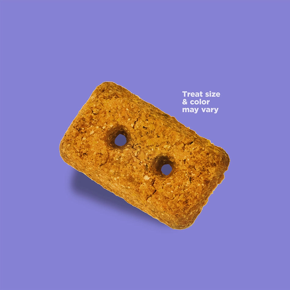 NutriSource Crunchy Crunchers Grain Free Whitefish Dog Treats