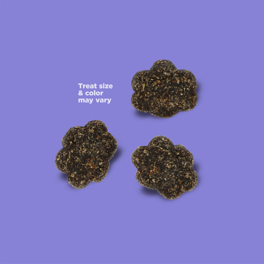 NutriSource Nutty Butter Bites Peanut Butter & Apple Dog Treats