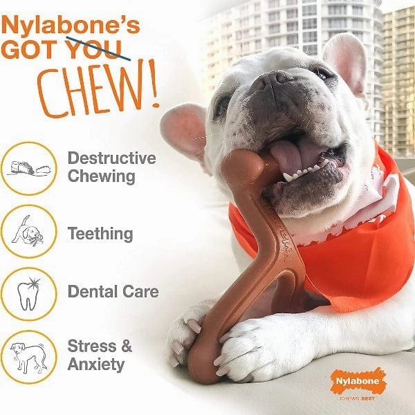 Nylabone DuraChew Bacon Bone