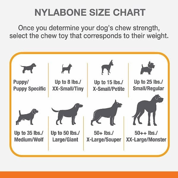 Nylabone DuraChew Textured Chicken Bone