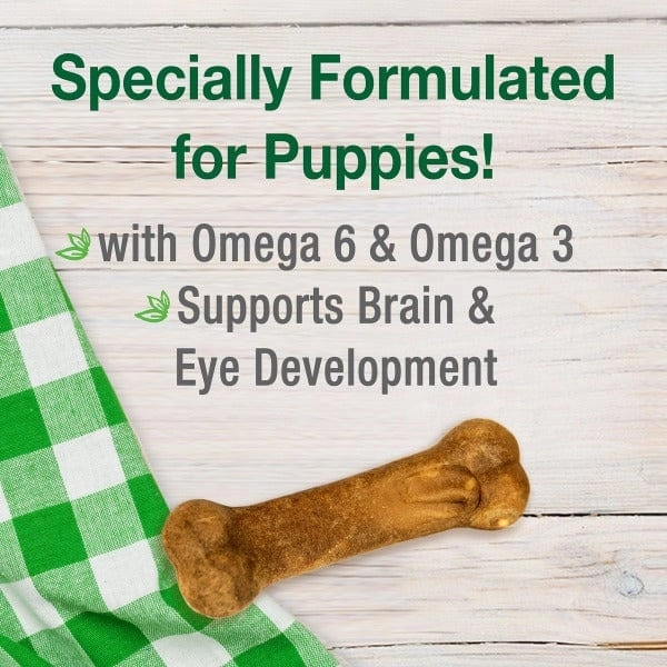 Nylabone Healthy Edibles Lamb & Apple Flavour Regular Puppy Chews