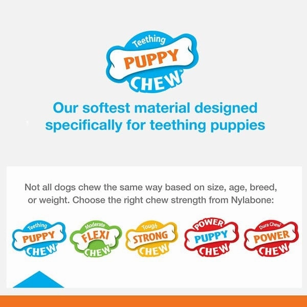 Nylabone Puppy Teething Pacifier
