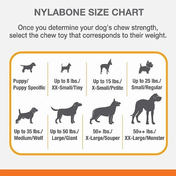 Nylabone Puppy Teething Pacifier