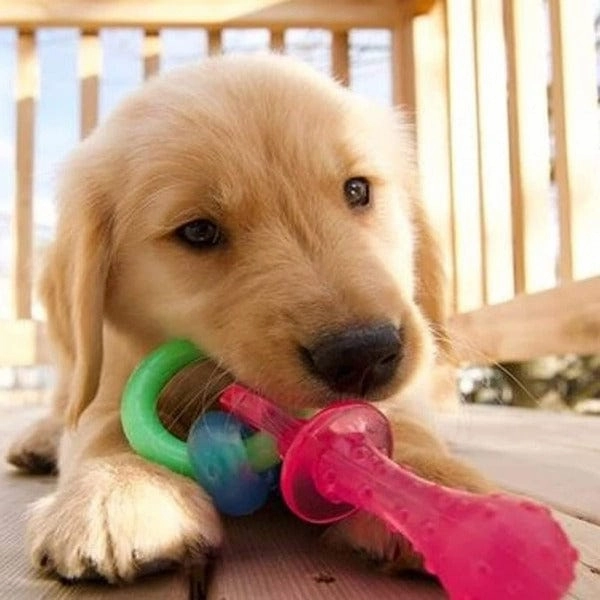Nylabone Puppy Teething Pacifier
