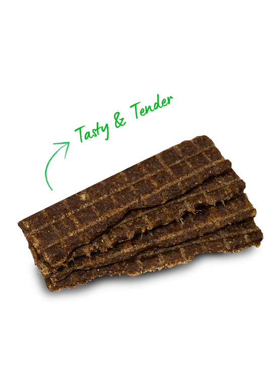 Open Farm Grain Free Jerky Strips Wild-Caught Salmon Dog Treats