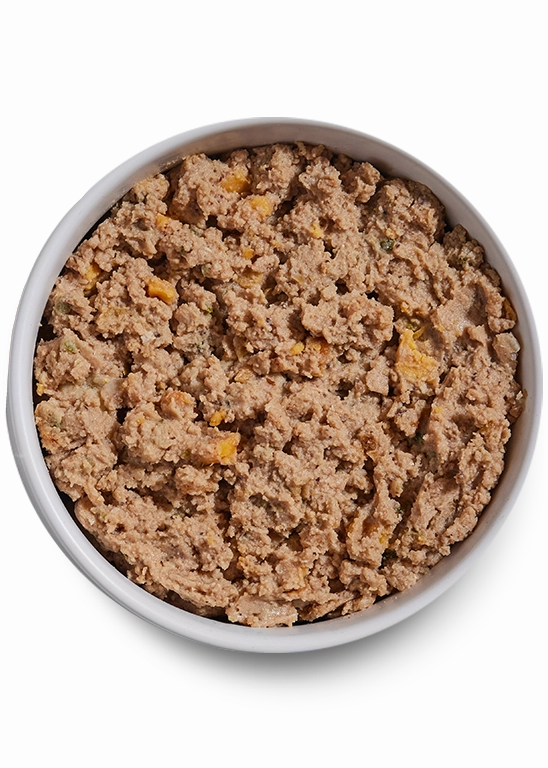 Open Farm Grain Free Puppy Chicken & Salmon Pate Wet Dog Food