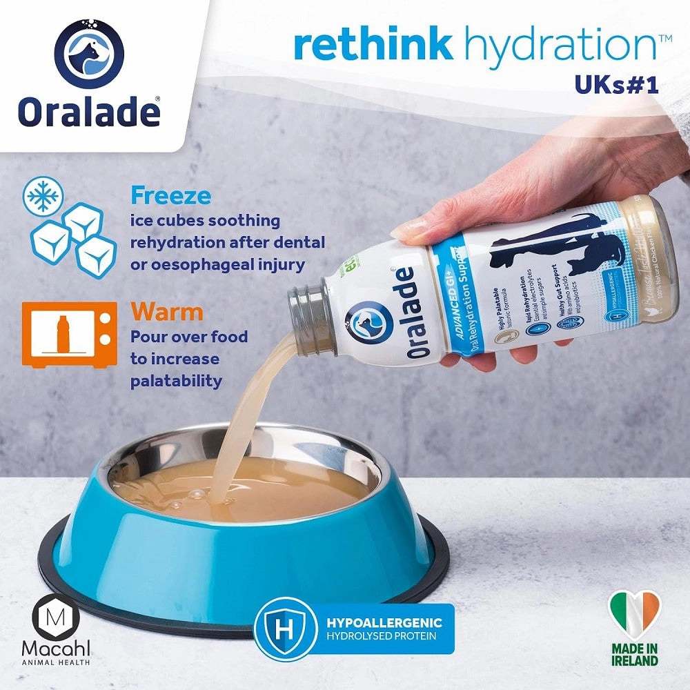 Oralade GI Support for Dogs & Cats