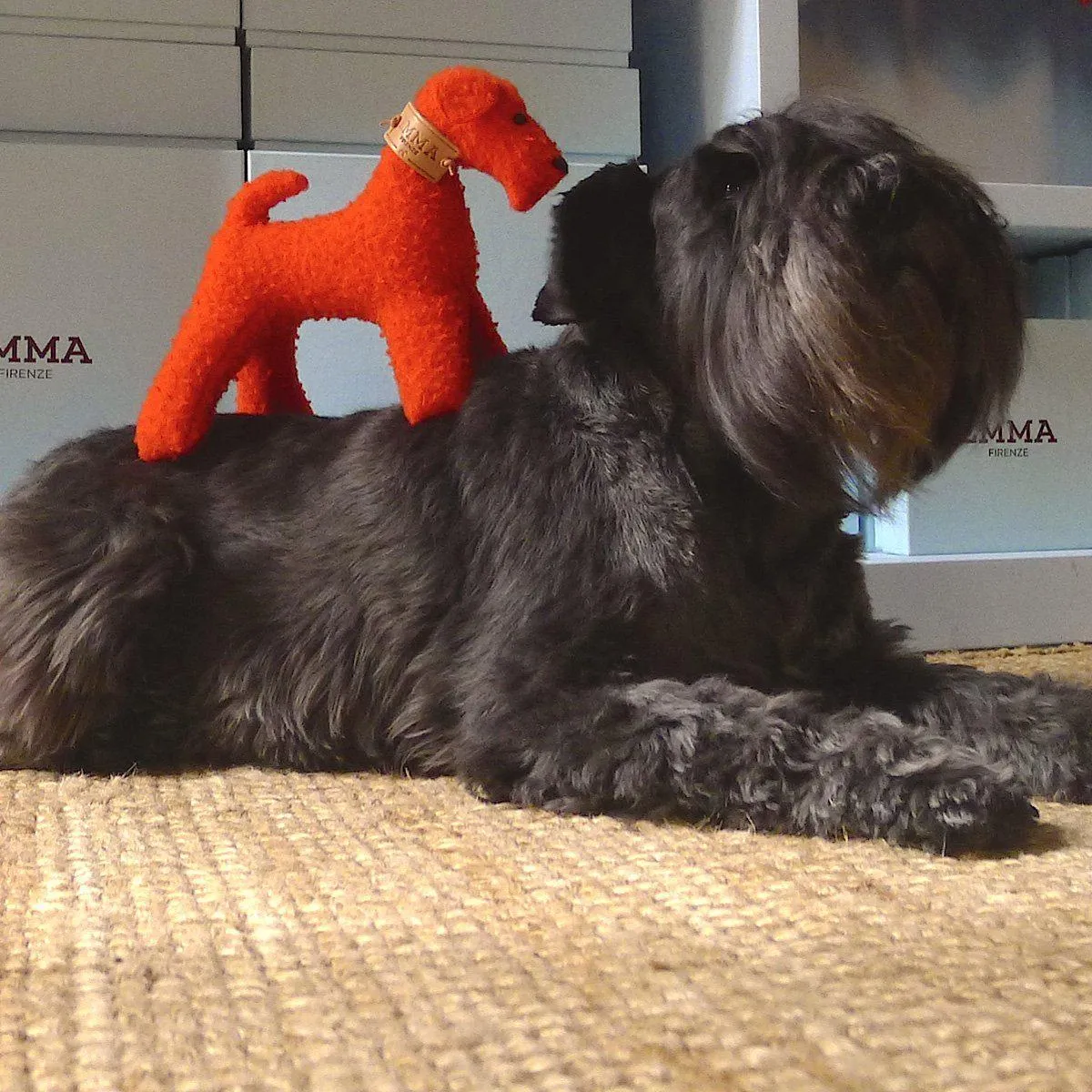 Orange Fausta Dog Toy