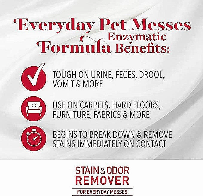 Original Stain and Odor Remover