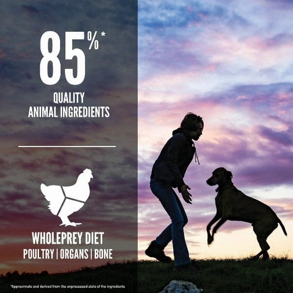 Orijen Puppy Large Breed Dry Dog Food