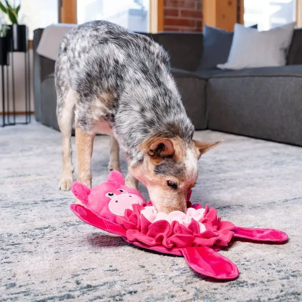 Outward Hound Snuffle Palz Interactive Plush Pig Puzzle & Snuffle Mat Dog Toy