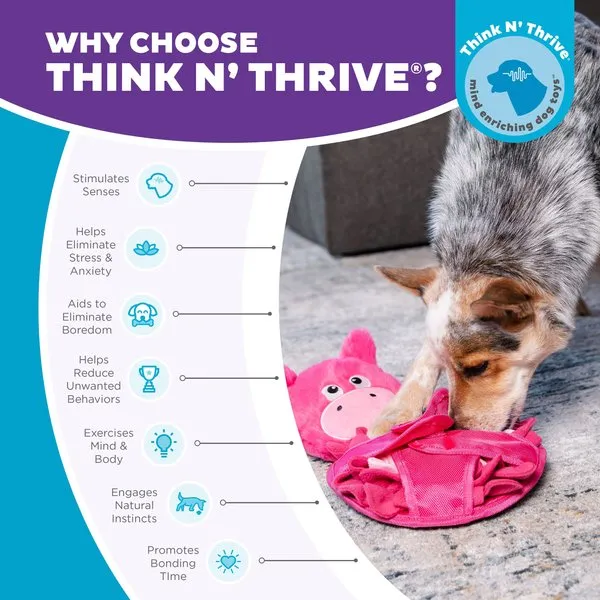 Outward Hound Snuffle Palz Interactive Plush Pig Puzzle & Snuffle Mat Dog Toy