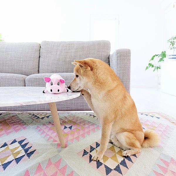 Outward Hound Fattiez Dog Toy