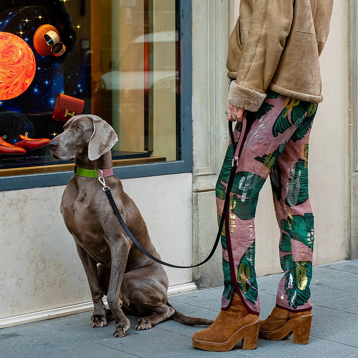 Patent Leather Psychedelic Dog Collar