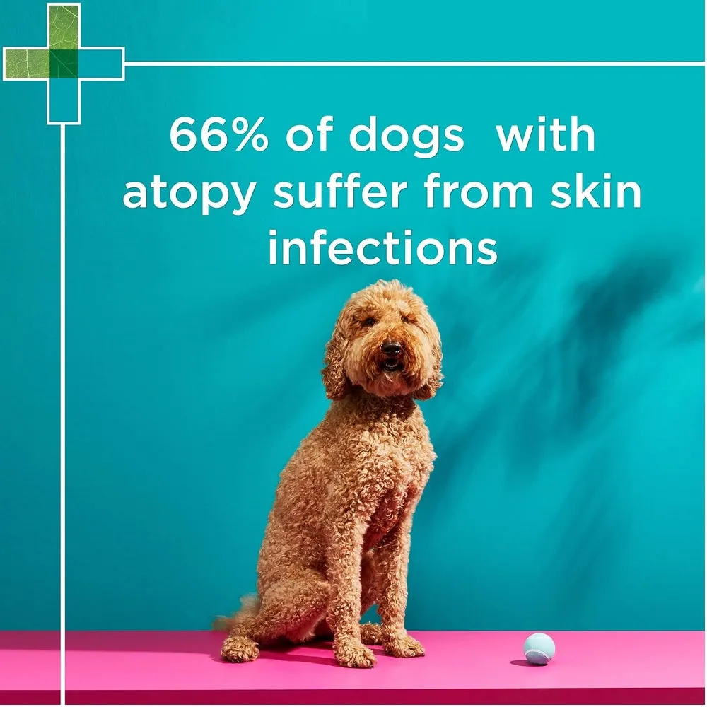 Paw MediDerm Gentle Medicated Shampoo for Dogs