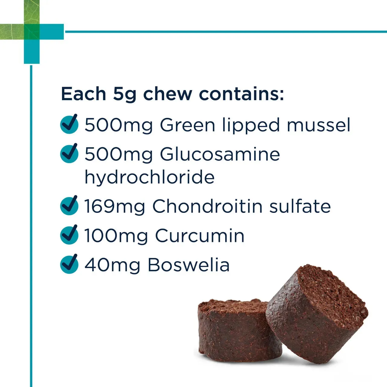 PAW - Osteo Advanced (Joint Supplement for Dogs) 300g 60 Chews