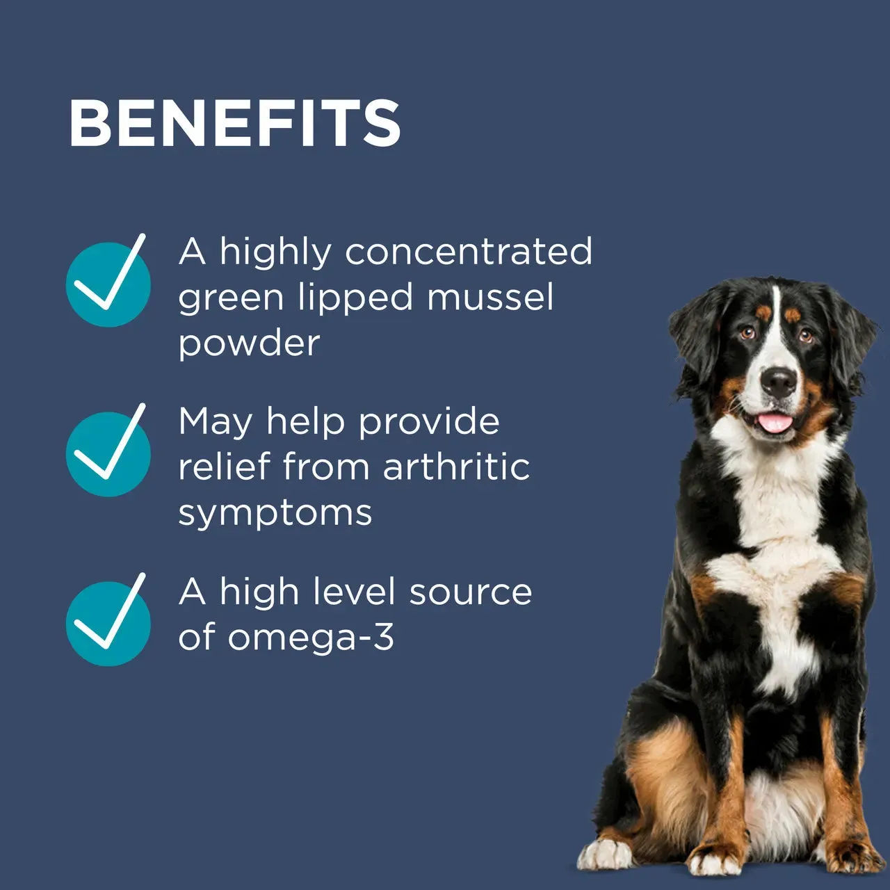 PAW - Osteosupport (Joint Supplement for Dogs)